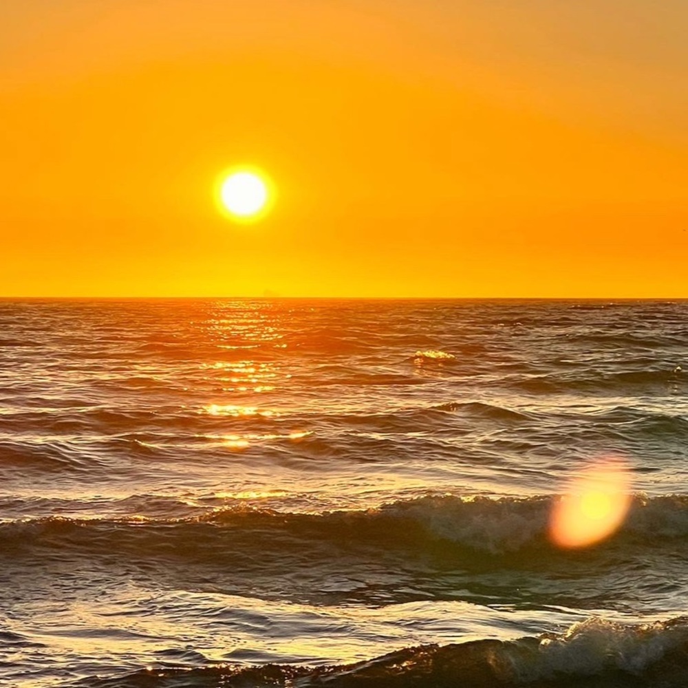 Meet your Posher, Teresa